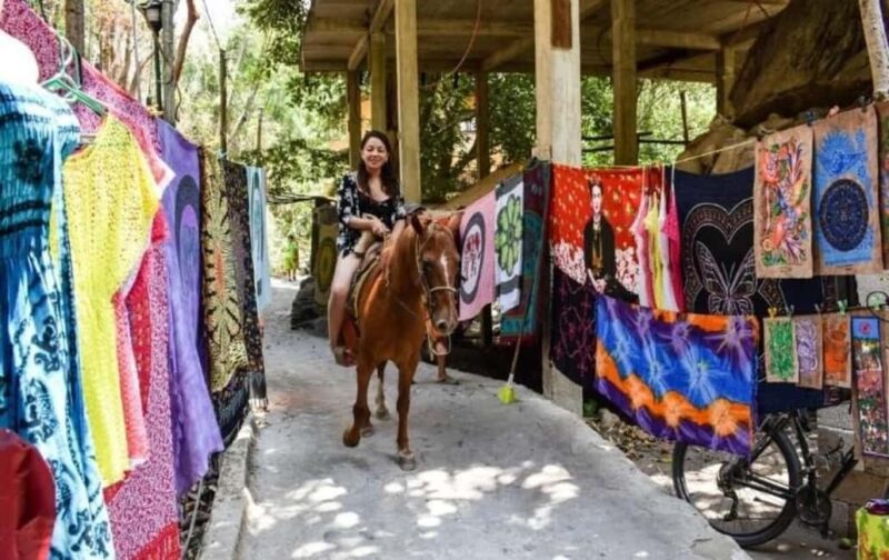 Puerto Vallarta: Beach Boy Los Arcos, Animas and Quimixto - Comparing Similar Tours and Experiences