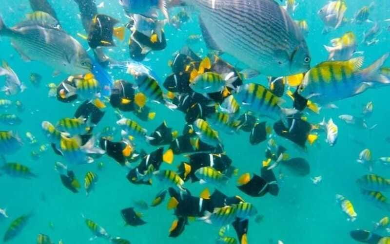 Puerto Vallarta: Beach Boy Los Arcos, Animas and Quimixto - Final Thoughts on the Beach Boy Los Arcos, Animas, and Quimixto Tour
