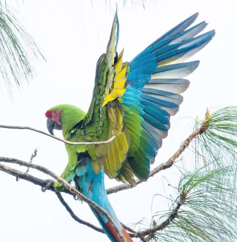 Puerto Vallarta: Botanical Garden & Tequila Tasting Tour - Tasting Artisanal Tequila at the Tequila Gallery