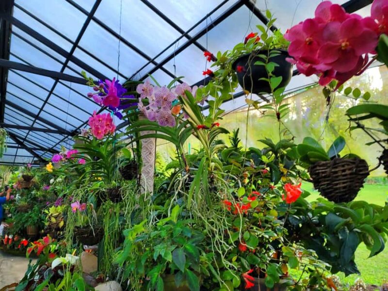 Puerto Vallarta: Botanical Garden & Tequila Tasting Tour - Accessibility and Practical Tips