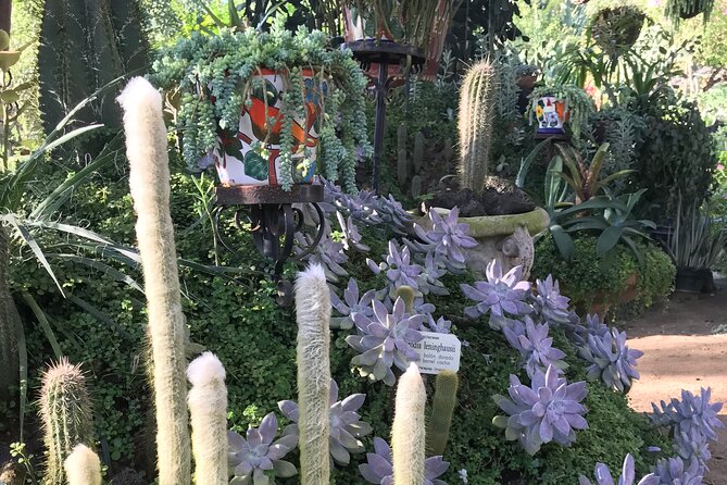 Puerto Vallarta Botanical Garden Tour with University Biologist - Key Points