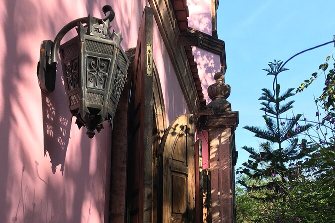 Puerto Vallarta Botanical Garden Tour with University Biologist - Engaging Guided Tour Led by a University-trained Biologist