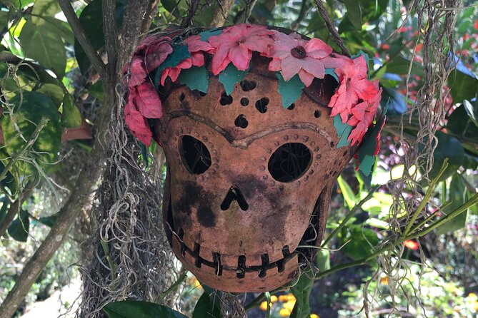 Puerto Vallarta Botanical Garden Tour with University Biologist - Why This Tour Excels: Highlights from Reviews