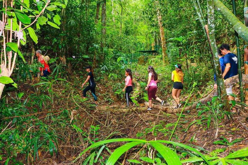 Puerto Vallarta: Botanical Garden Walking Tour - Final Thoughts on the Puerto Vallarta Botanical Garden Walking Tour