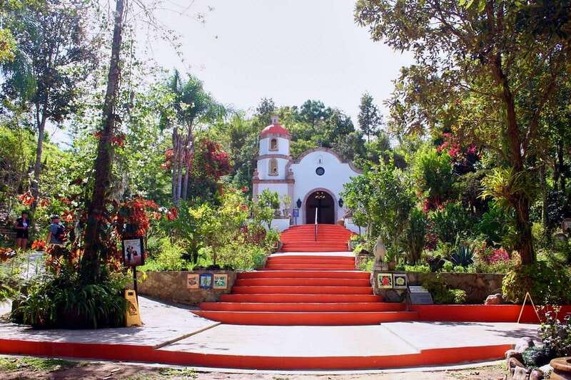 Puerto Vallarta: Botanical Gardens, Distillery & Coffee Tour - Explore Puerto Vallarta’s Botanical Gardens and Exotic Plant Collections