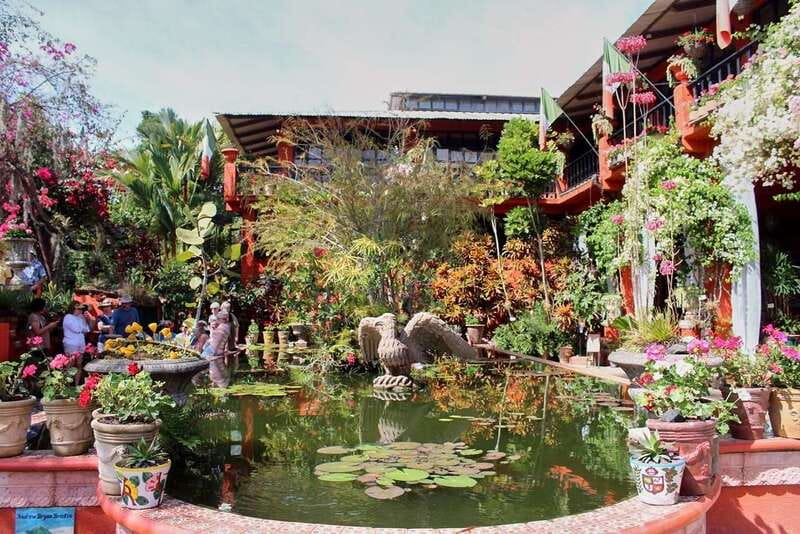 Puerto Vallarta: Botanical Gardens, Distillery & Coffee Tour - Convenient Transportation and Guided Support