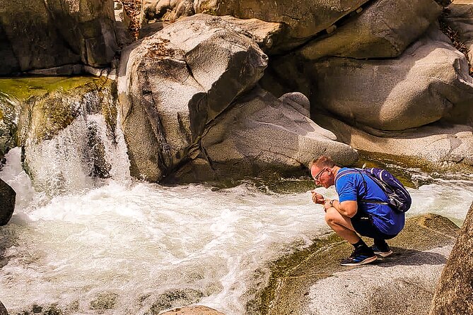 Puerto Vallarta Botanical Gardens Hiking Tour - Scenic Hike Along the Horcones River