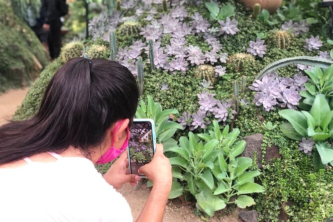 Puerto Vallarta Botanical Gardens Hiking Tour - Wildlife Encounters at the Sanctuary: Rescued Animals Close Up