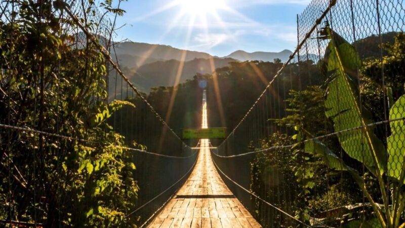 Puerto Vallarta: Canopy River + Jorullo Bridge Pass - Mule Ride and Tequila Tasting Experience