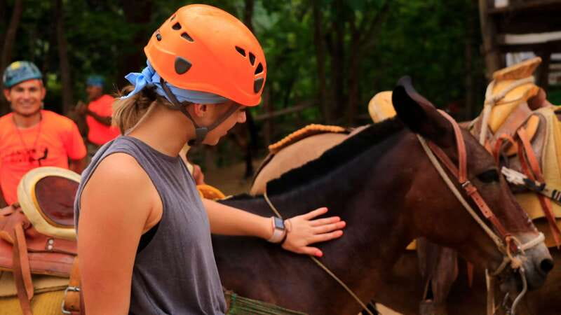 Puerto Vallarta: Canopy River Zip Line Tour with Mule Ride - Experience the Thrill of an 11-Zip Line Circuit Above Jaliscos Forests and Rivers