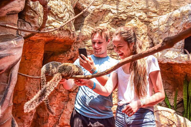 Puerto Vallarta: Canopy Tour with Zipline and Speedboat Ride - Experience the Guided Walks and Scenic Views