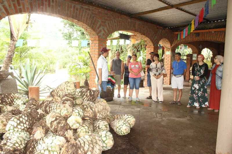 Puerto Vallarta: City Tour, Tequila and Coffee Factory Tour - Discover Local Organic Coffee at a Factory