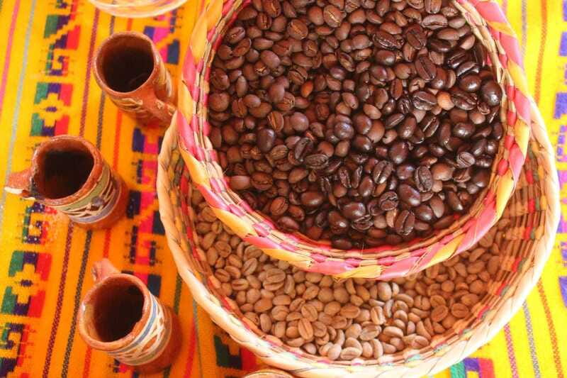 Puerto Vallarta: City Tour, Tequila and Coffee Factory Tour - Puerto Vallarta: City Tour, Tequila and Coffee Factory Tour - Final Word