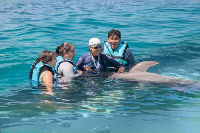 Puerto Vallarta: Dolphin Royal Connection & Water Park Pass - Starting Point at Aquaventuras Park in Puerto Vallarta