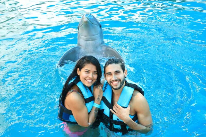 Puerto Vallarta: Dolphin Royal Connection & Water Park Pass - Customer Feedback: Strengths and Limitations