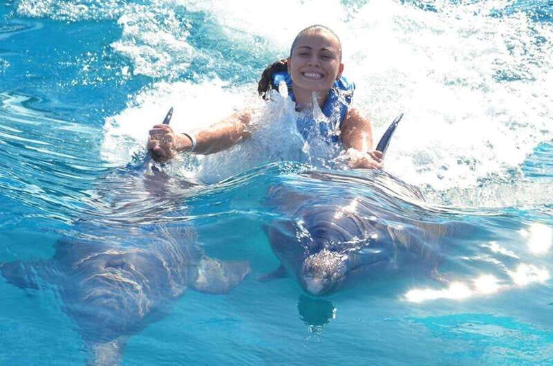 Puerto Vallarta: Dolphin Royal Swim at Aquaventuras Park - Exciting Dolphin Interaction and Aquaventuras Water Park Access in Puerto Vallarta