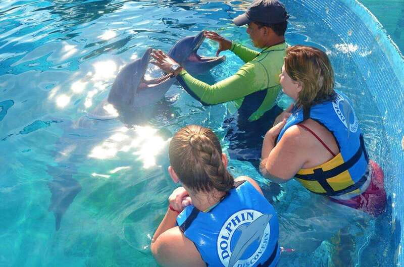 Puerto Vallarta: Dolphin Royal Swim at Aquaventuras Park - Discover the 60-Minute Royal Dolphin Swim Experience