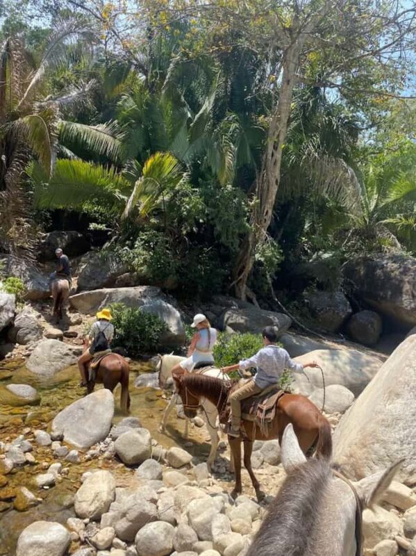 Puerto Vallarta: El Eden Horseback Riding - Exploring Jardín El Edén: The Filming Location of Predator