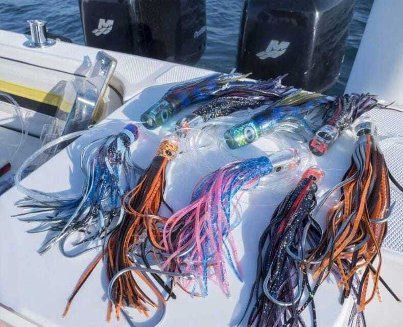 Puerto Vallarta: Fishing Cachi I 28 - A Fantastic Choice for Sportfishing in Puerto Vallarta