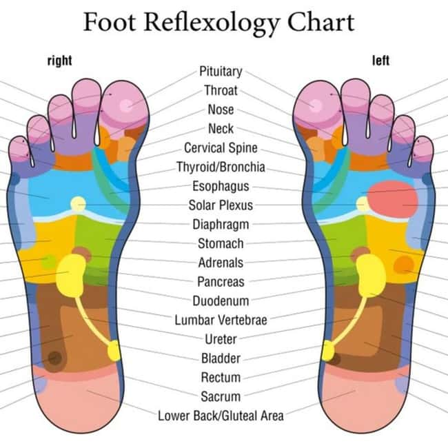 Puerto Vallarta: Foot Reflexology and Tired Legs Massage - Discover the Healing Power of Foot Reflexology and Tired Legs Massage in Puerto Vallarta