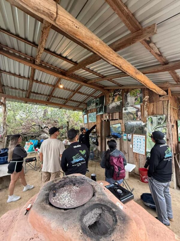 Puerto Vallarta: Guided Tour to the Macaw Sanctuary - Key Points