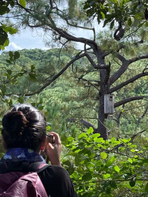 Puerto Vallarta: Guided Tour to the Macaw Sanctuary - The Meeting Point and Transportation Convenience