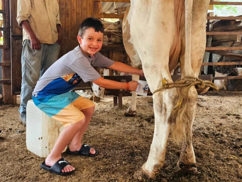 Puerto Vallarta: Hands-on Farm Experience from Cow to Cheese - Discover the Authentic Charm of a Mexican Cattle Farm Near Puerto Vallarta