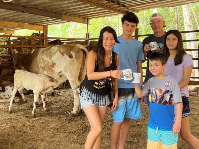 Puerto Vallarta: Hands-on Farm Experience from Cow to Cheese - How to Reach the Farm: Private Transport and Scenic Views