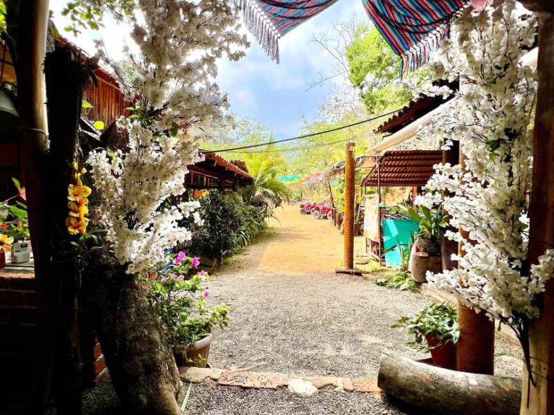 Puerto Vallarta: Hands-on Farm Experience from Cow to Cheese - Exploring Tropical Fruits and Their Seasons