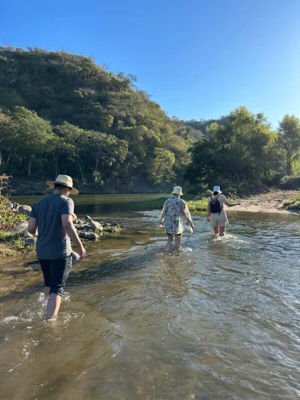 Puerto Vallarta: Hiking to Secret Mountain Hot Springs - The 30-Minute Hike to the Thermal Springs