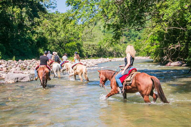 Puerto Vallarta: Horseback Ride to Mountain Waterfalls - The Ride Experience: From Rolling Hills to Wilderness