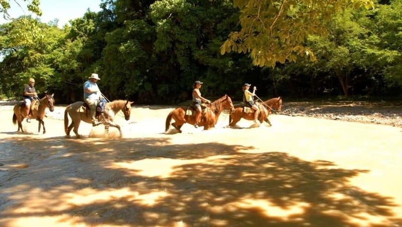 Puerto Vallarta: Horseback Riding at Hacienda Doña Engracia - Discover the Scenic Horseback Riding Experience at Hacienda Doña Engracia in Puerto Vallarta
