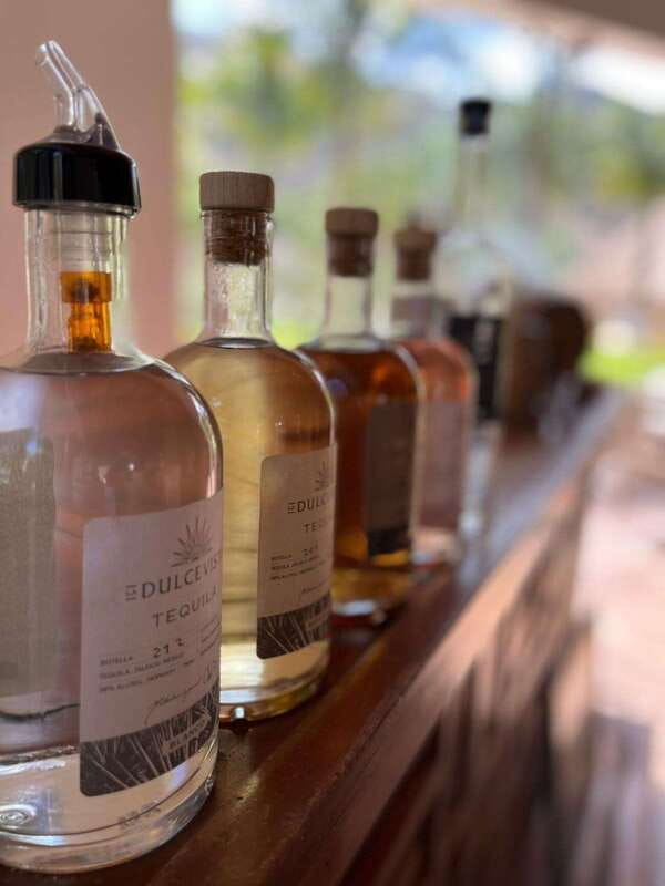 Puerto Vallarta: Horseback Riding at Hacienda Doña Engracia - Key Points