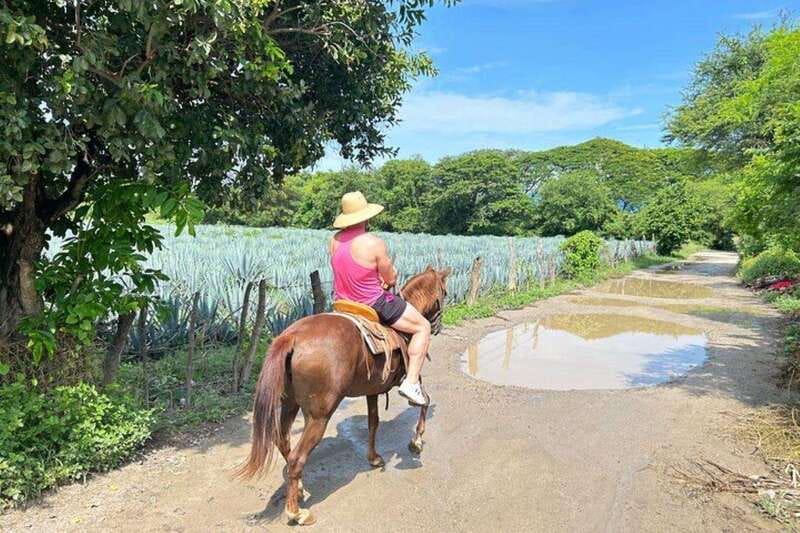 Puerto Vallarta: Horseback Riding at Hacienda Doña Engracia - Riverside Ride Along the Mascota River