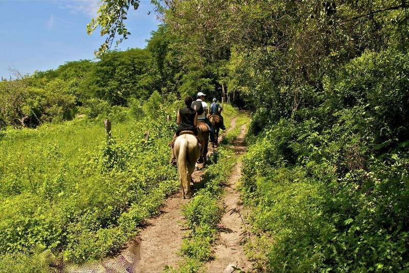 Puerto Vallarta Horseback Riding - The Experience Provider: Gray Line Vallarta