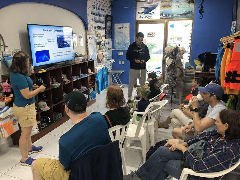 Puerto Vallarta: Humpback Whale Research Adventure Tour - Discover the Unique Humpback Whale Research Adventure in Puerto Vallarta