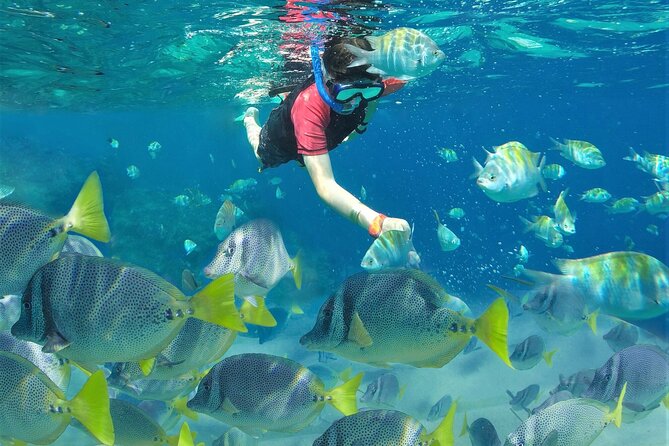 Puerto Vallarta Islas Marietas Eco Discovery - Whats Included in the Tour