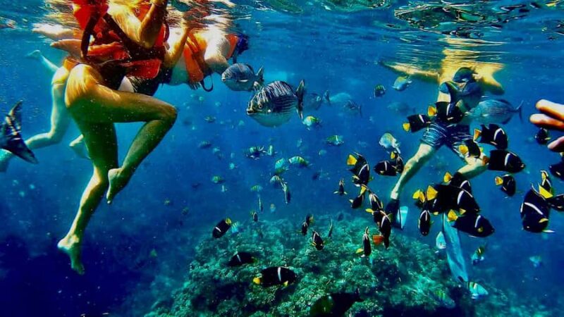 Puerto Vallarta: Los Arcos Paddleboarding & Snorkeling Tour - Mismaloya Beach: The Launch Site and Starting Point