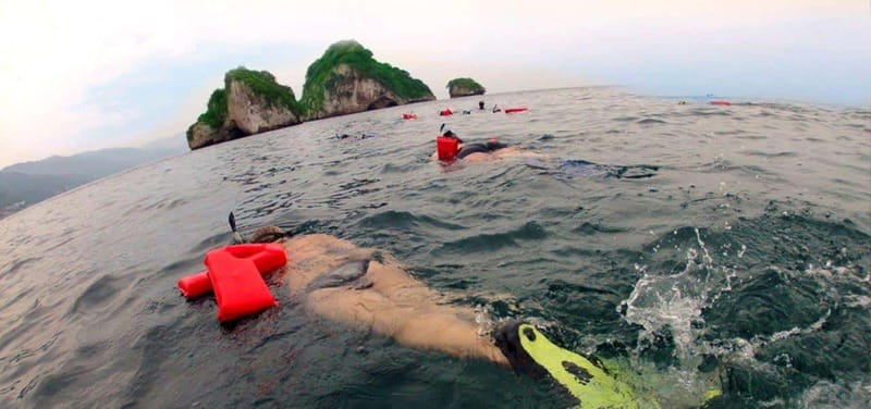 Puerto Vallarta: Los Arcos Snorkeling Tour - Accessibility and Physical Considerations