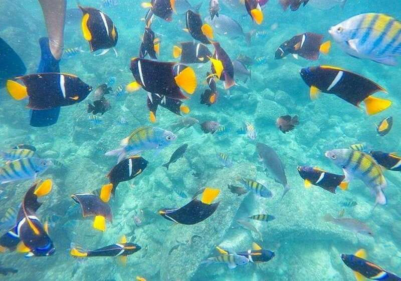 Puerto Vallarta: Majahuitas Tour With Lunch and Open Bar - Practical Details and Group Experience