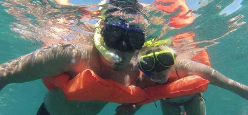 Puerto Vallarta: Marietas Paradise Tour + Lunch & Open Bar - How This Tour Compares to Similar Experiences