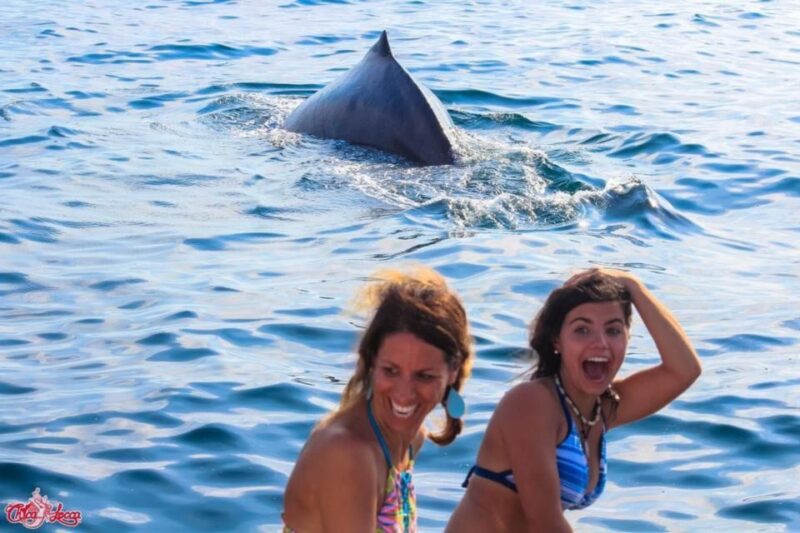 Puerto Vallarta: Mega Yacht Whale Watching Sunset Cruise - The Experience with Guides and Crew