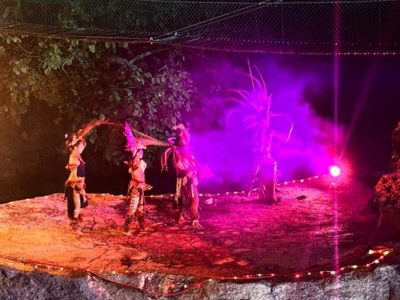 Puerto Vallarta: Night Zipline, Dinner, & Show with Pickup - From the Coastal Road to the Sierra Madre Mountains