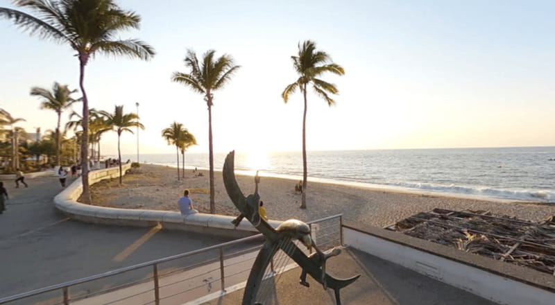 Puerto Vallarta: Parasailing Experience - Exciting Parasailing Adventure in Puerto Vallarta for $181