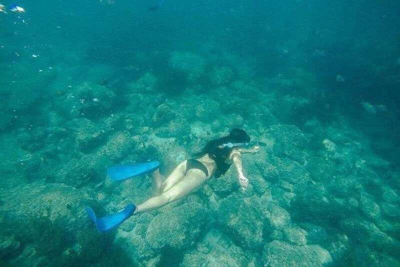 Puerto Vallarta: Pirate Ship Adventure - Pirate Shows and Audience Participation on Deck