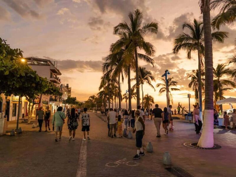 Puerto Vallarta: Private Night Tour - Who Will Most Enjoy This Night Tour?