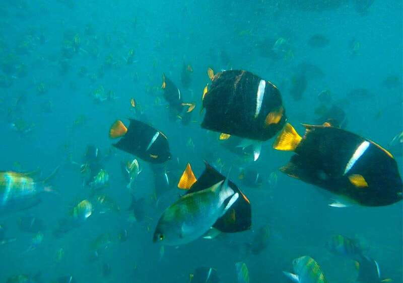 Puerto Vallarta: Private Sail, Snorkel and Beach - Logistics and Group Experience