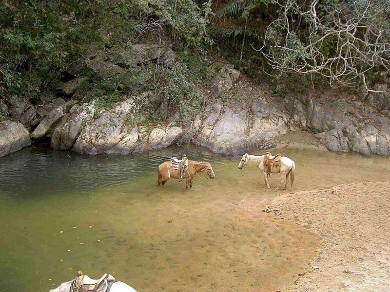 Puerto Vallarta: Private Tour Hiking Quimixto Waterfall - Key Points