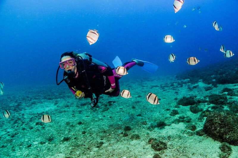 Puerto Vallarta: Scuba Dive in Las Caletas - Logistics: Meeting Point and Tour Format