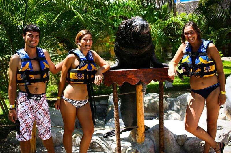 Puerto Vallarta: Sea Lion Discovery at Aquaventuras Park - The Personal Interaction with Sea Lions